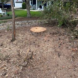 Stump Grinding 