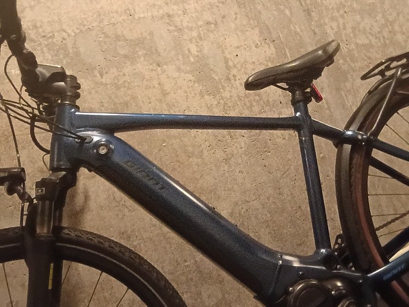 Giant E-Bike