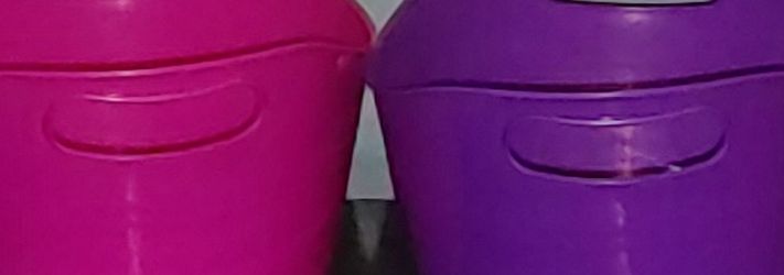 4 Containers 2 Pink 2 Purple