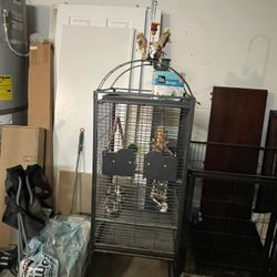 Bird Cage