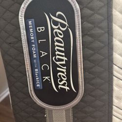 Beautyrest Black Phoebe Plush – Queen Size Mattress 