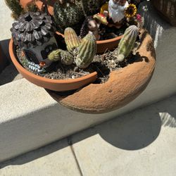 Cactus Decorate Planter For Mother’s Day 