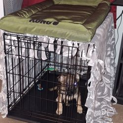 Dog Crate with Bed, 30 X 19 X 21
