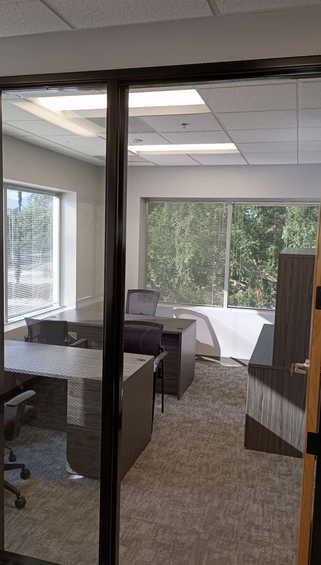 Desk  Desks Executive Desks 60" Desks 66" 72" Gray, White, Black Walnut