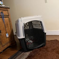 Large Dogs Kennel 