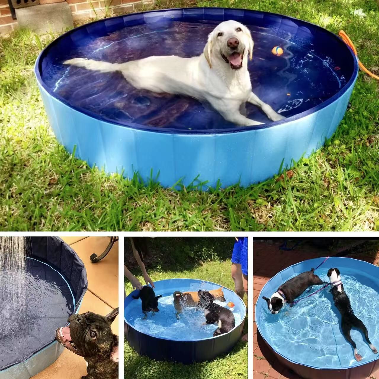 New In Box 60x11 Inch Tall Pet Outdoor Swimming Dog Kids Pool PVC Foldable Bathing Tub