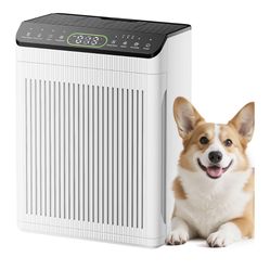 Brand New Air Purifiers for Home Large Room up to 2200sq.ft with Washable Filters, EVALIT Air Purifier for Bedroom with Fragrance, PM 2.5 Display Air 