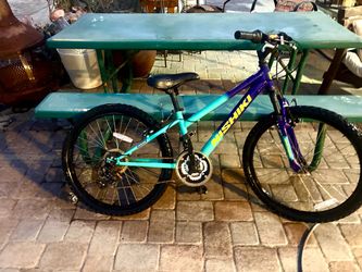 Nishiki Pueblo 24” Youth Mountain Bike – Front Suspension – $45