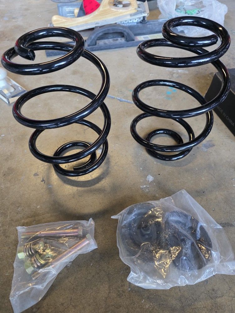  Rear Lowered Coil Springs