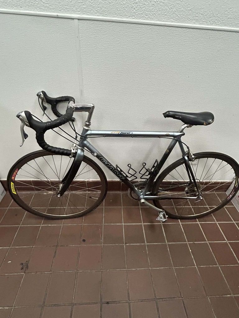 Carbon Fiber Bicycle