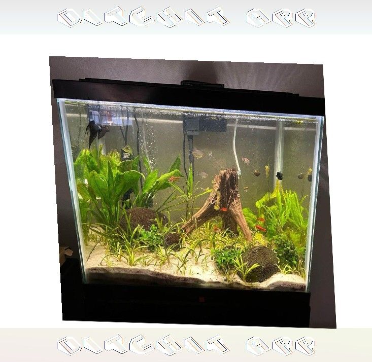 Complete Aquarium System - Jump into Water World Beauty with member