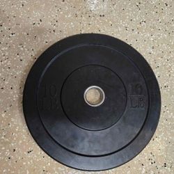 A Single 10 Lb Bumper Plate Weight