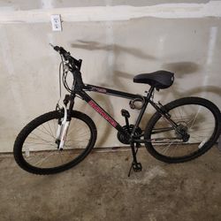 3 Bikes And Weight Bench