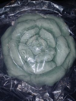 Hand-Stitched Plush Decorative Throw Pillow
Soft sage green plush pillow 