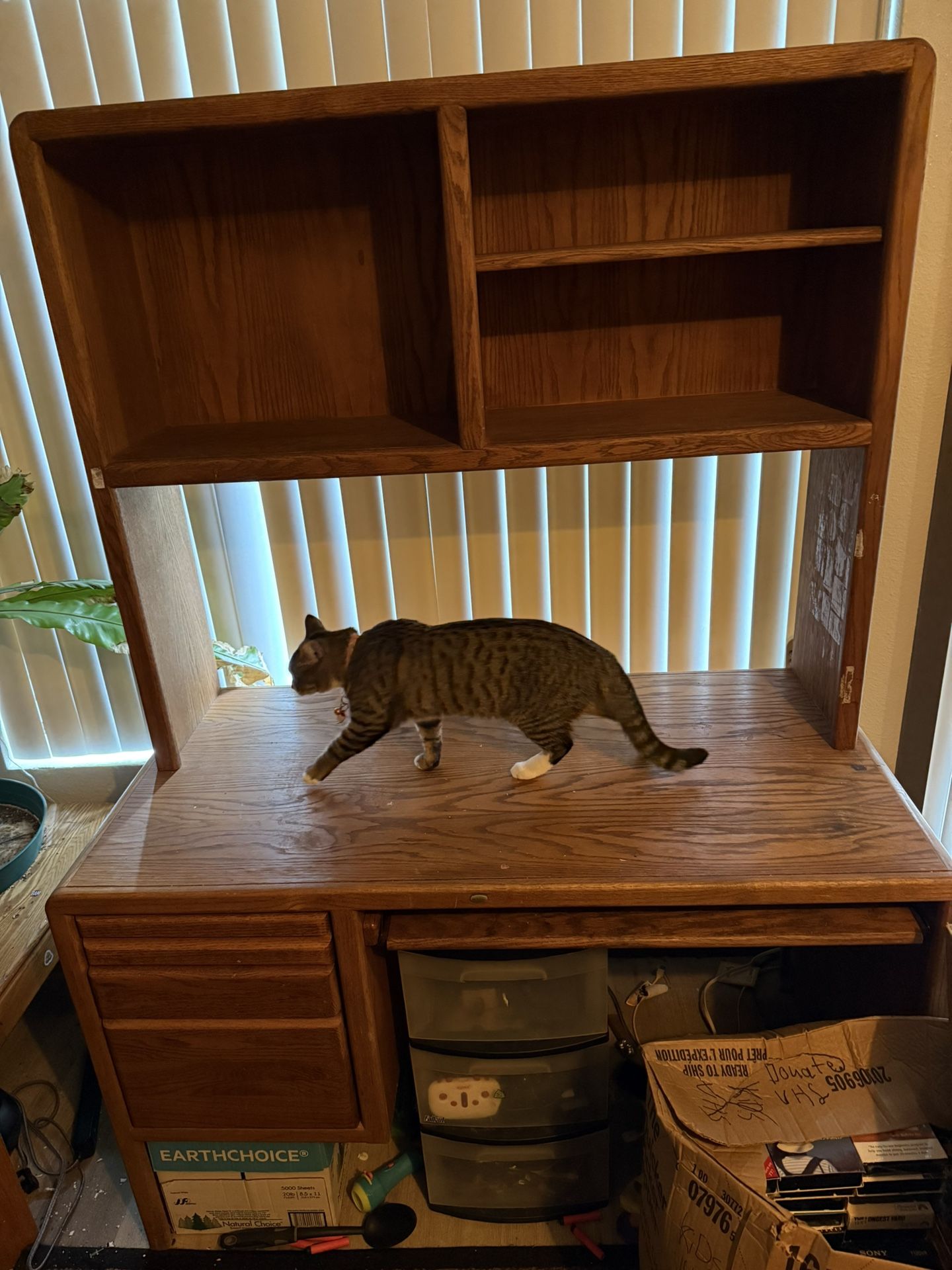Late 80s/early 90s Computer Desk (cat not included)