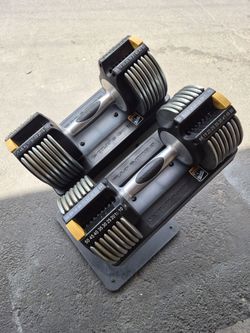 Golds Gym Adjustable Dumbbells 10–50 lbs Pair with Stand