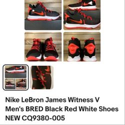 Lebron JAMES brand NEW Shows 