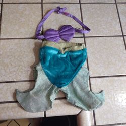 Build A Bear Little Mermaid Costume