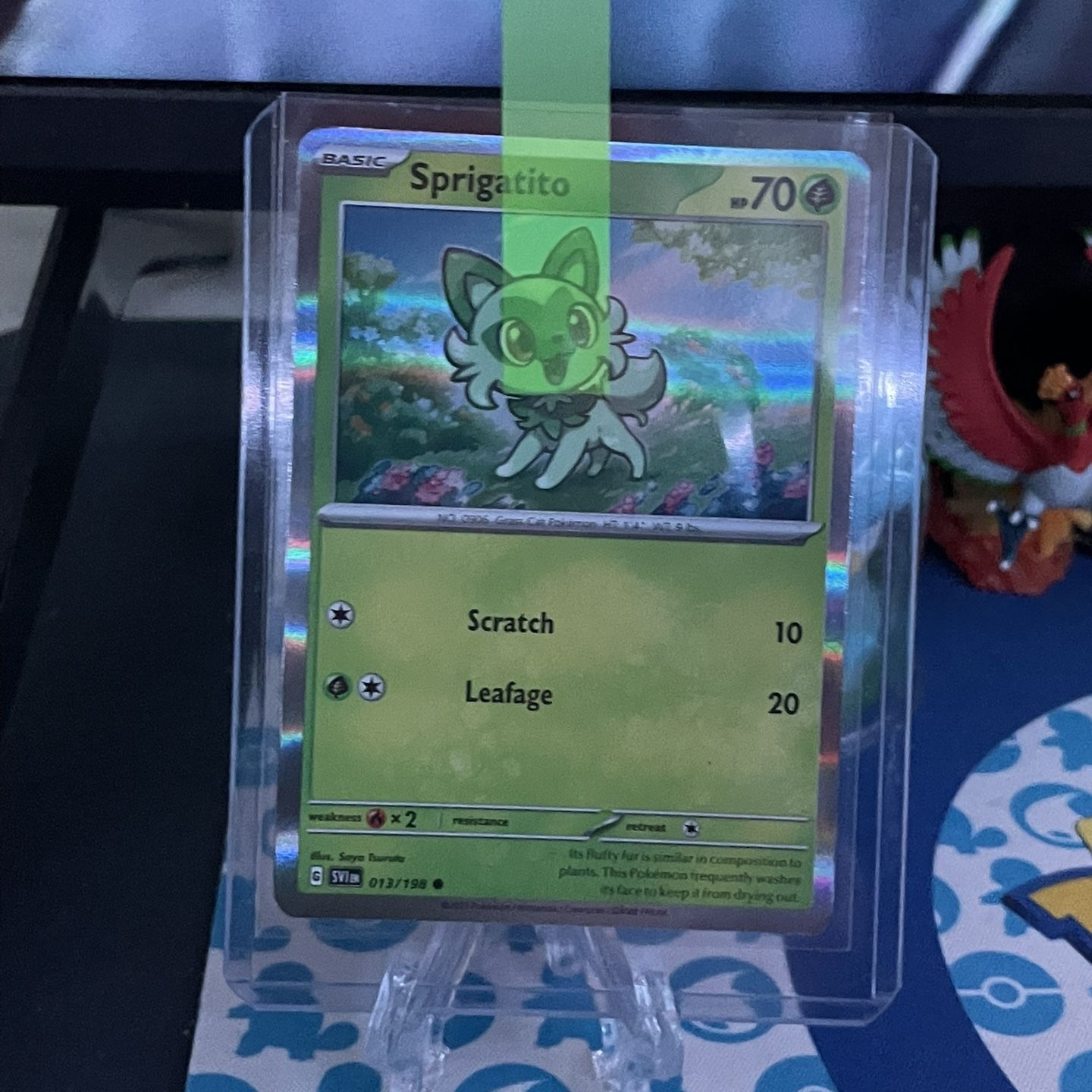 sprigatito card binder Collectible Pokémon | Hand-Painted Gift | Cat Lover Art | Unique Present [1G] Leafage (20) Weakness / Resistance / Retreat Cost 3 Pocket Clear File Sprigatito