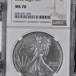 1 Oz Silver Eagle