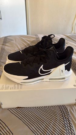 LeBron Witness 6