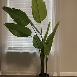 Artificial Potted Plant, Fake Plant, 6 ft tall, Bird of Paradise