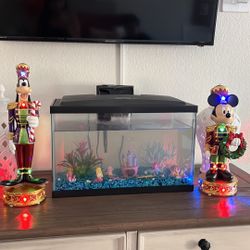 Aquarium decor included 