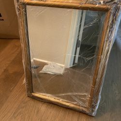 Mirror Door Medicine Cabinet