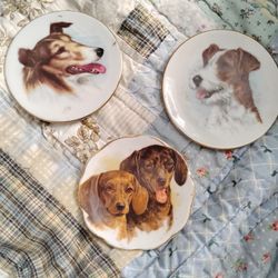 Collector's Bone China Mini Plates