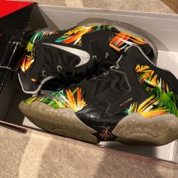 Lebron 11 Everglades Size 9