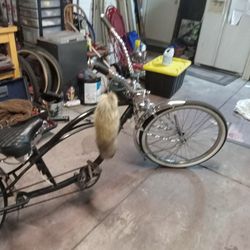Stretched  Crusier