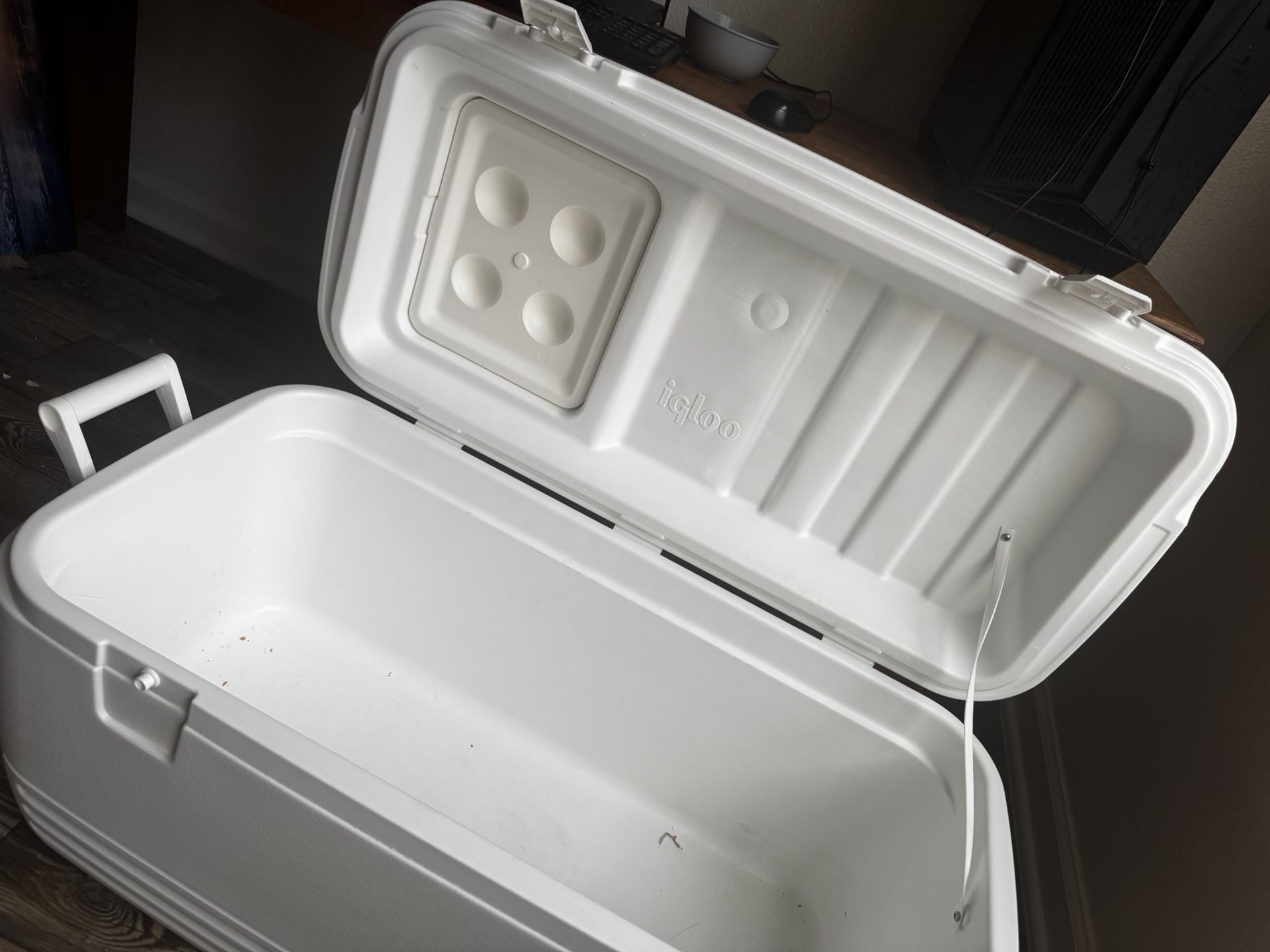 Igloo Cooler