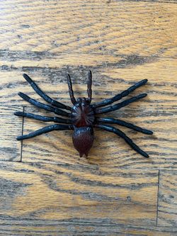 Spider Toy