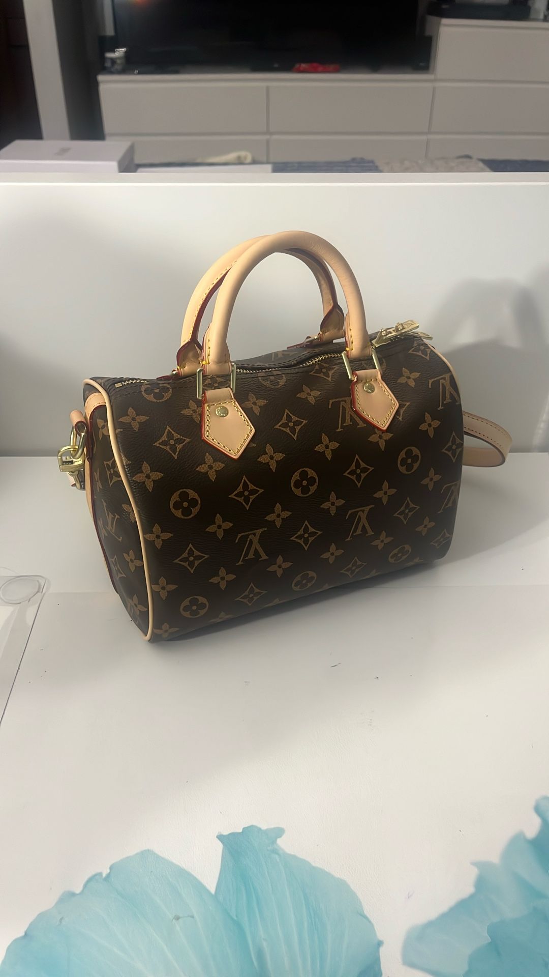 Louis Vuitton Speedy