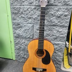 Coronado Acoustic Guitar