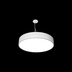 Elite Lighting 2' OPR LED Round Pendant Series
