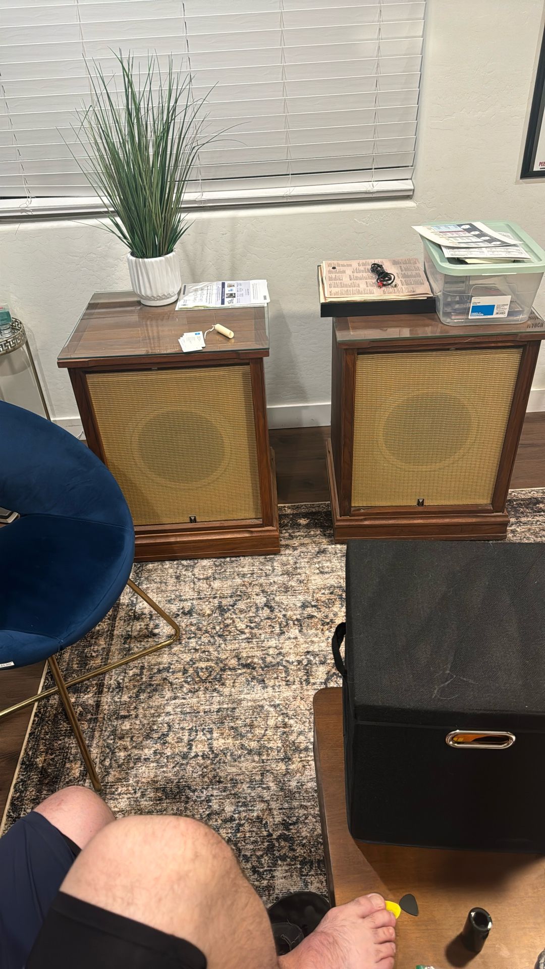 JBL Speakers And Speaker Cabinets