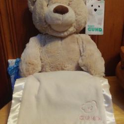 Gund Peek A Boo Teddy Bear Plush Animated Stuffed Bear