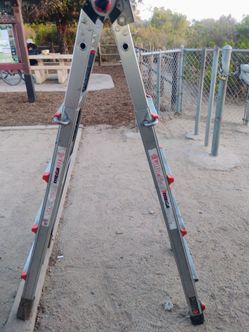 Little Giant ladder