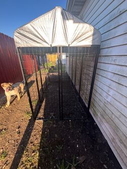Dog cage