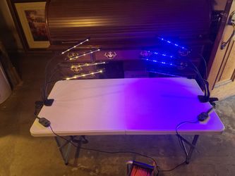 Smart Grow Lights