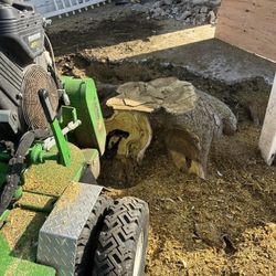 Stump Grinder – Property Cleanup