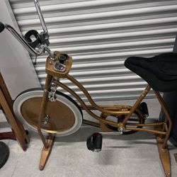 Scwhinn Workout Bike