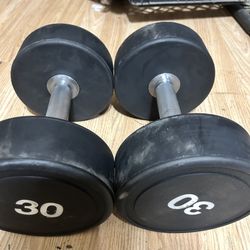 30lb Dumbbells 