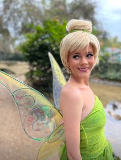 Tinkerbell Fairy Character Birthday