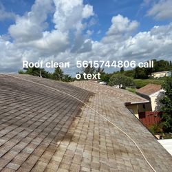 Roof Clean Solf Wash 