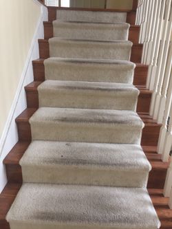 CARPET CLEANING