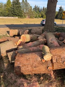 Free wood