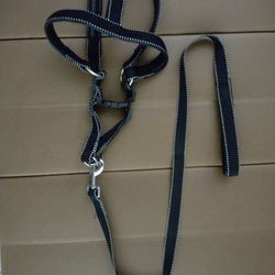 Dog Collar Harness 