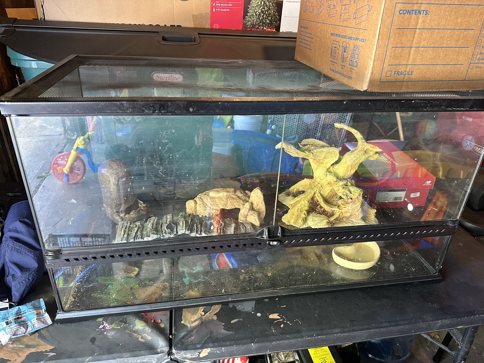 Terrarium With Decor/Lamps And Food/Water Bowls